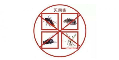 除四害一般都有哪些方法？